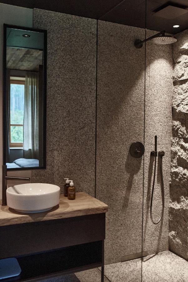 Deluxe Granite Apartment Mountain View